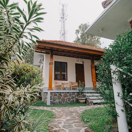 Armaya Guest House Gitgit Dış mekan fotoğraf